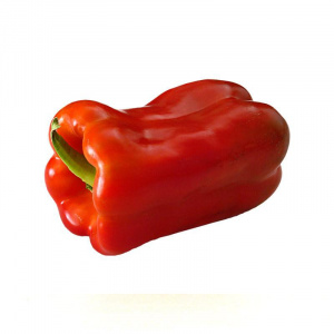 Pebrot-vermell.jpg